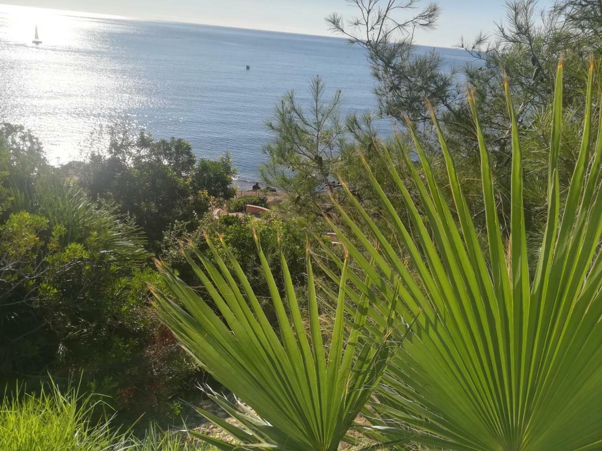 Apartamento Cabo Roig Bellavista III Exterior foto
